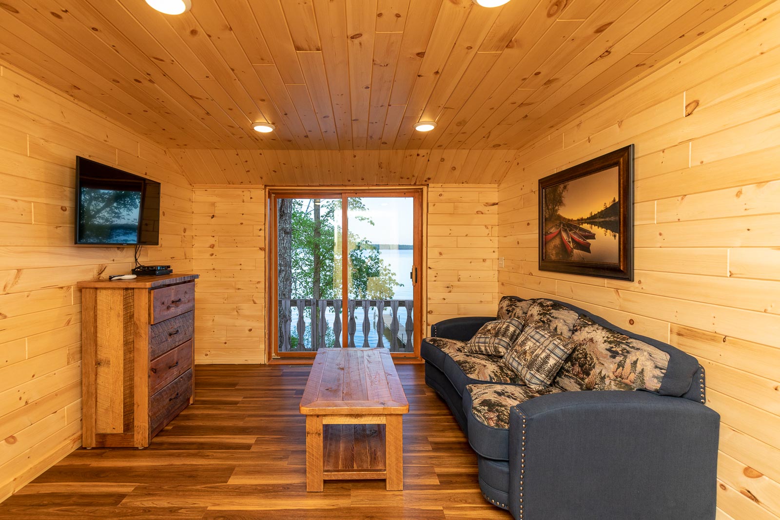 Alpine cabin living room